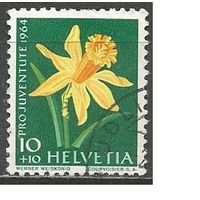 Швейцария. Цветы. Нарциссы. 1964г. Mi#804.