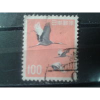 Япония, 1963. Журавли