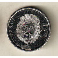 Замбия 5 квача 2024