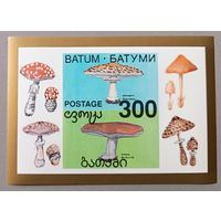 Ядовитые грибы. Грузия, 2009, блок