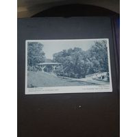 Открытка. старый Петергоф. Чистая