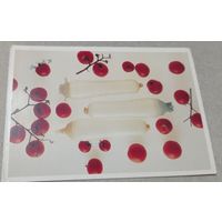 Посткроссинг. Открытка из Нидерландов: из серии "Time for love"  (11,5х16,5). Прошла почту. Художественные марки.