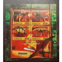 Сомали. 2016 год. Фауна. Динозавры. Блок (4 марки) (149)