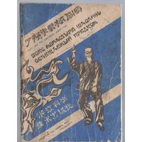 Хантен Маконэ. Бокс монастыря Шаолинь освещаемый предком.