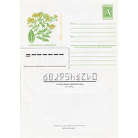 Беларусь 1996 Святаяннiк дзiркаваты. Зверобой дырчатый (к4)