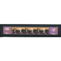 США. Китайский Новый год. Год лошади. Сцепка