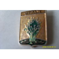 ЗНАЧОК  ГЕРБ  "СУРАЖ"