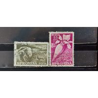 РАСПРОДАЖА РУМЫНИЯ 1959г. Гаш.