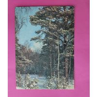 Зимний лес в сосновом лесу. Чистая. 1990 года. Самсоненко. 2568.