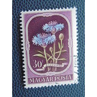 Венгрия. Флора.