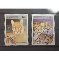 Бенин. 1995 год. Фауна. Дикие кошки (2 марки из серии)