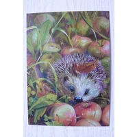 Неприятель Юлия; Яблочный ёжик; чистая.