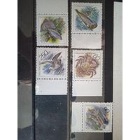 Россия  фауна океана **