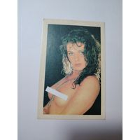 Календарик ню 1996