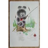 Голубев А. Клюет. 1965 г. Чистая.