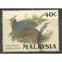 Малайзия. Птицы. Павлиний фазан. 1986г. Mi#319.
