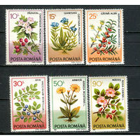 Румыния - 1993 - Цветы и ягоды - [Mi. 4866-4871] - полная серия - 6 марок. MNH.  (Лот 42Jp)-T4P17
