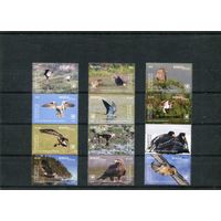 Пенрин. Фауна. Птицы. Сцепки