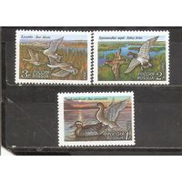 ФФ1 Россия 1992 Утки