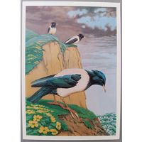 Розовые скворцы. Худ. В.Егоров. Открытка, 1984