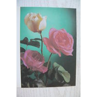 Костенко Г., Поздравляю! 1990, двойная, чистая.