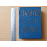 Белорусский книжный раритет - Краткий статистический сборник Белорусская ССР в цифрах, 1963 год (3630)