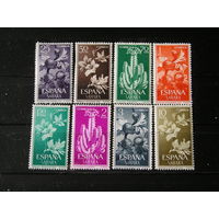 Испанская Сахара 1962, Кактусы, цветы