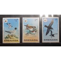 Гренада. Фауна. Птицы (374)