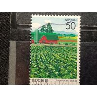 Япония, 2000. Фермерская постройка возле картофельного поля