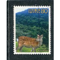 Япония. Фауна, горы, лес