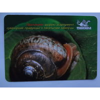 Календарик 2004 г. Тэхналогія.