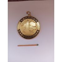 Чемпион Севастополя. Комитет по ФК и С при горисполкоме.