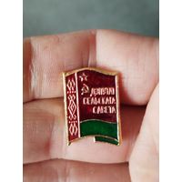 Депутат сельского совета