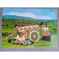 Этнография. Коста-Рика. Традиционная повозка