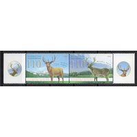 Казахстан 2008. Фауна. Совместный выпуск Казахстан Молдова. Марал. Благородный олень. 2 марки (361)