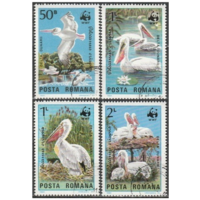 Румыния 1984, Пеликаны, ПТИЦЫ, ФАУНА