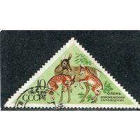 СССР 1973.. Заповедник. Олень