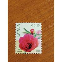 2023 Латвия флора цветы (5-8)