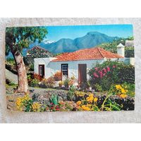 Кипр, Троодос. Загородный коттедж