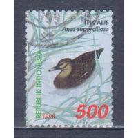 [737] Индонезия 1998. Фауна.Птицы.Утки.500р. Гашеная марка.