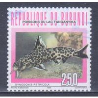 [634] Бурунди 1996. Фауна.Рыбы. Концовка серии.Гашеная марка.