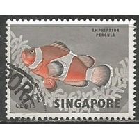 Сингапур. Рыбы. Оранжевый амфатрион. 1962г. Mi#56.