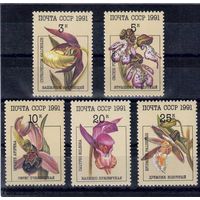 СССР. 1991. Флора. Цветы. Орхидеи. **