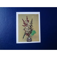 Композиция из цветов.  1982 г.  мини.