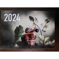 Календарик Улитка