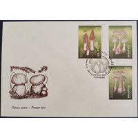 КПД. Грибы. 1999 г.