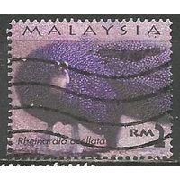 Малайзия. Птицы. Фазан.. 2000г. Mi#919.