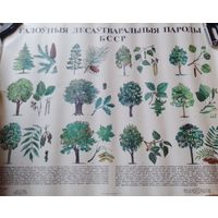 Плакаты БССР в коллекцию или для декора