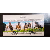 ЛИСТ ФАУНА ЛОШАДИ  СТО