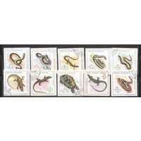 ФФ2 Румыния 1965 Пресмыкающиеся гаш